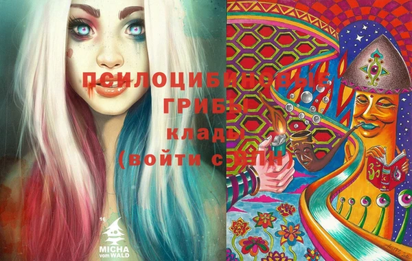 сатива Абаза