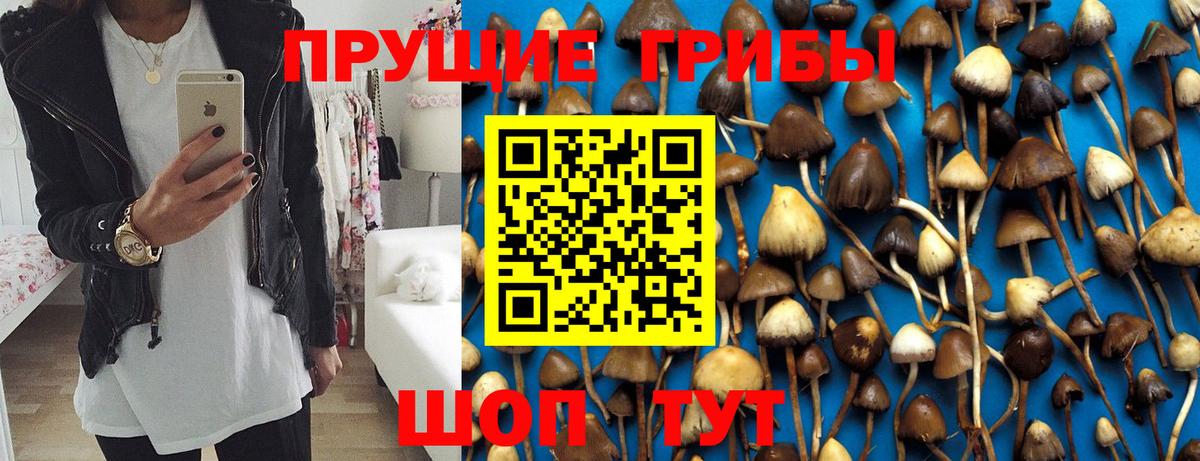 Псилоцибиновые грибы мицелий Мирный